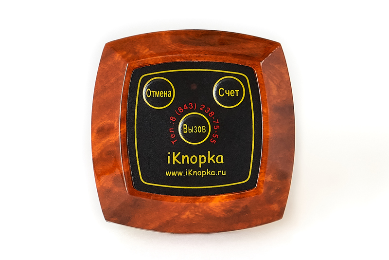 Кнопка вызова iKnopka APE630 фото 2